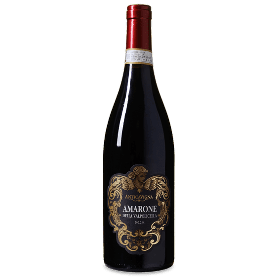 Amarone della Valpolicella DOCG 2019 Antica Vigna